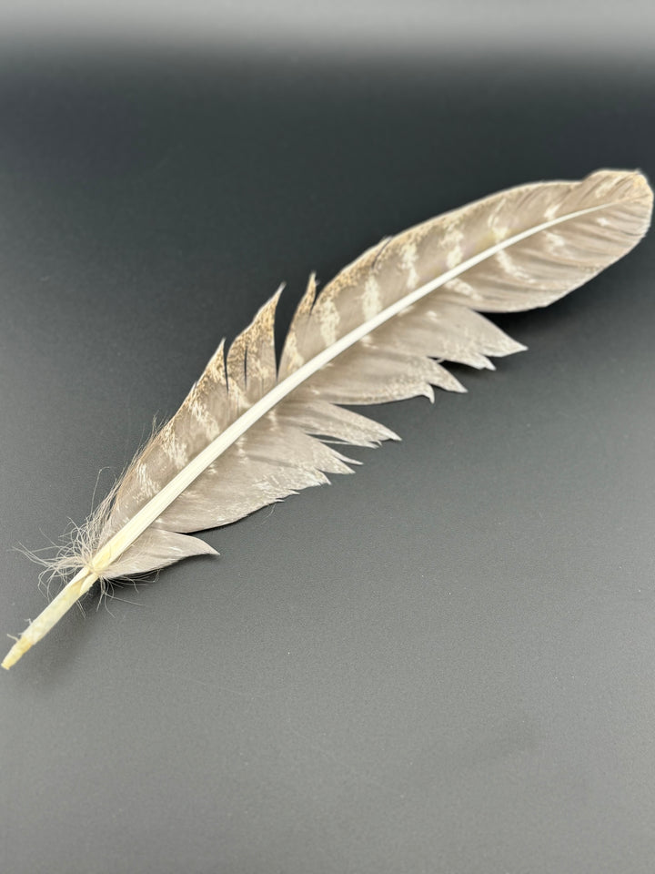 Harmony Haven Smudge Kit