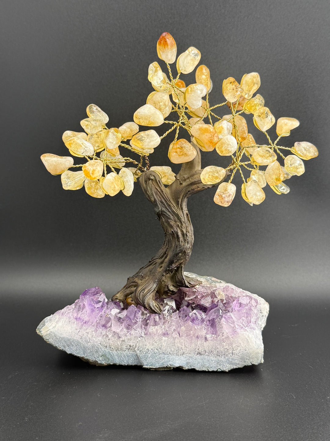 Authentic Brazilian Crystal Tree of Life on Amethyst Base - Citrine (Medium)