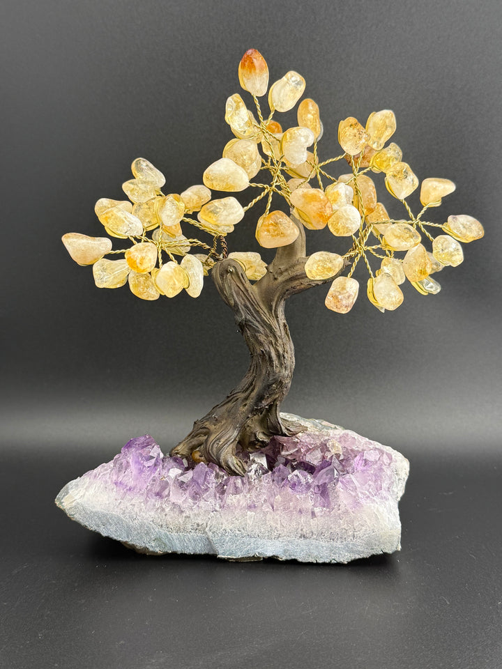 Authentic Brazilian Crystal Tree of Life on Amethyst Base - Citrine (Medium)