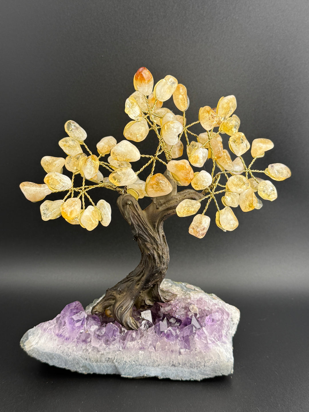 Authentic Brazilian Crystal Tree of Life on Amethyst Base - Citrine (Medium)