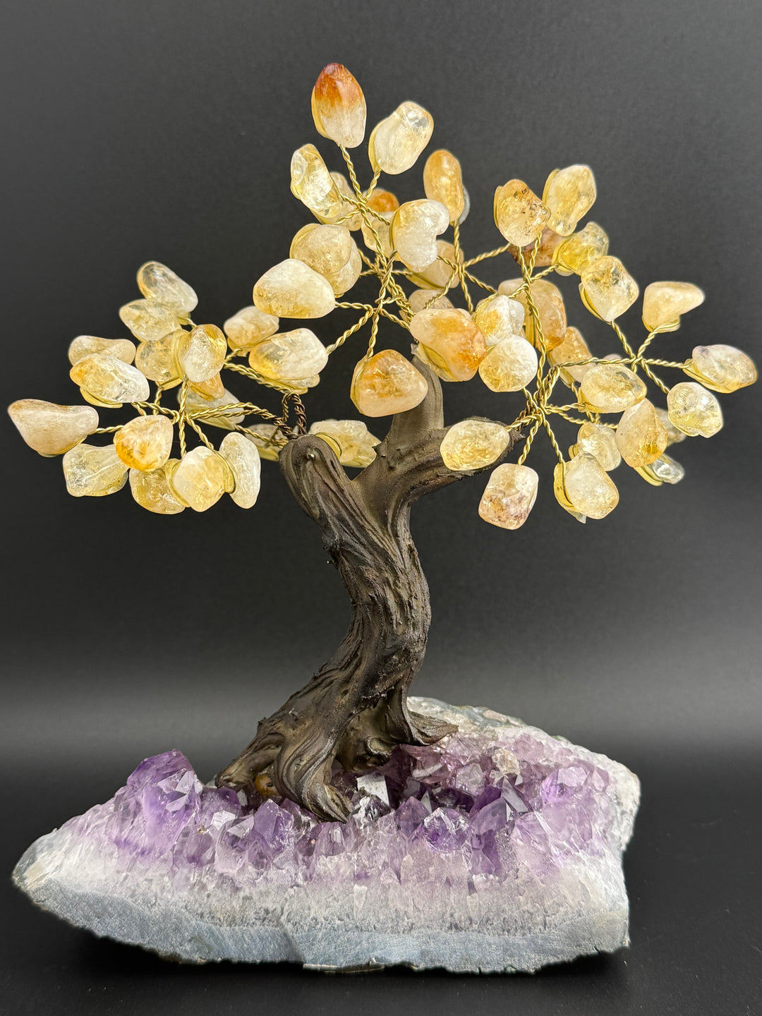 Authentic Brazilian Crystal Tree of Life on Amethyst Base - Citrine (Medium)