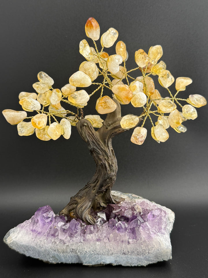 Authentic Brazilian Crystal Tree of Life on Amethyst Base - Citrine (Medium)