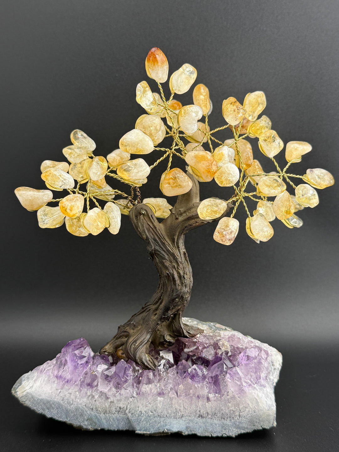 Authentic Brazilian Crystal Tree of Life on Amethyst Base - Citrine (Medium)