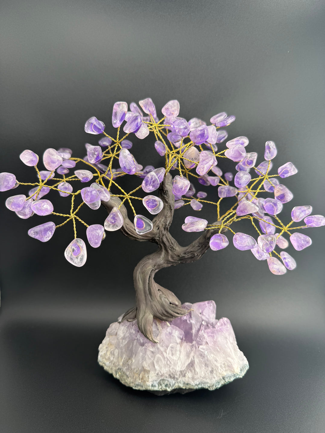 Authentic Brazilian Crystal Tree of Life on Amethyst Base (Large)